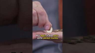 HONEYGAIN ALTERNATIVE APP to EARN MONEY EASILY